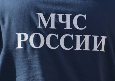 Рязанские спасатели отработали действия при падении самолета и гибели трех человек - ya62.ru - Рязанская обл.