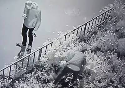 В Сокольниках вандалы уничтожили клумбу с ирисами и хостами, высаженную местными жителями - mskgazeta.ru - Москва - На