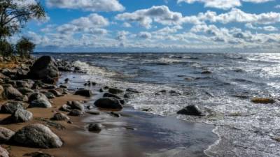 Золотой пляж в Зеленогорске приведут в порядок к лету 2022 года - piter.tv - Зеленогорск