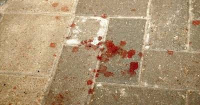 Двойное убийство под Олайне: полиция передала материалы в прокуратуру - rus.delfi.lv - Латвия