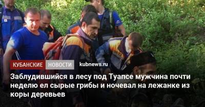 Заблудившийся в лесу под Туапсе мужчина почти неделю ел сырые грибы и ночевал на лежанке из коры деревьев - kubnews.ru - Краснодарский край - район Туапсинский