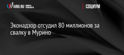 Эконадзор отсудил 80 миллионов за свалку в Мурино - ivbg.ru - р-н Всеволожский