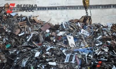 Свалка в Мурино обернулась многомиллионным штрафом для нарушителя - fedpress.ru - Санкт-Петербург