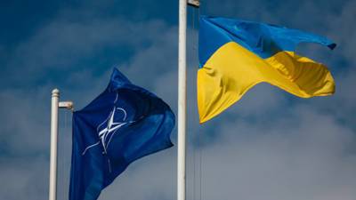Владимир Путин - Ульрика Деммер - Мирча Джоанэ - В ФРГ считают, что вопрос вступления Украины в НАТО не стоит на повестке дня - russian.rt.com
