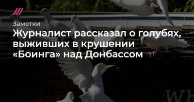 Журналист рассказал о голубях, выживших в крушении «Боинга» над Донбассом - tvrain.ru