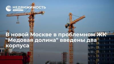 В новой Москве в проблемном ЖК "Медовая долина" введены два корпуса - realty.ria.ru - Москва