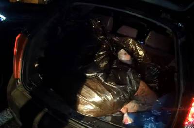 В Смоленской области полицейские после погони остановили браконьеров - rabochy-put.ru - Смоленск - Смоленская обл.