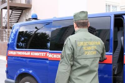 Следователи нашли еще двух жертв тербунского интернет-педофила - lipetskmedia.ru - район Тербунский