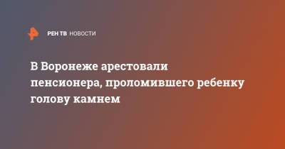 В Воронеже арестовали пенсионера, проломившего ребенку голову камнем - ren.tv - Воронеж - Воронежская обл.