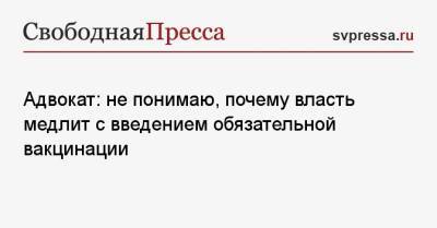 Дмитрий Аграновский - Адвокат: не понимаю, почему власть медлит с введением обязательной вакцинации - svpressa.ru