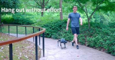 Китайский робот-собака для "простых людей" поступил в продажу - focus.ua - Boston