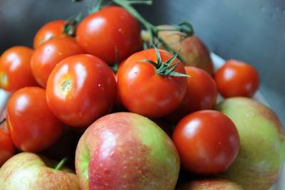 Россия разрешила поставки по железной дороге яблок и томатов из Азербайджана - trend.az - Азербайджан - Россельхознадзор