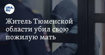 Житель Тюменской области убил свою пожилую мать - ura.news - Тюмень - Тюменская обл.