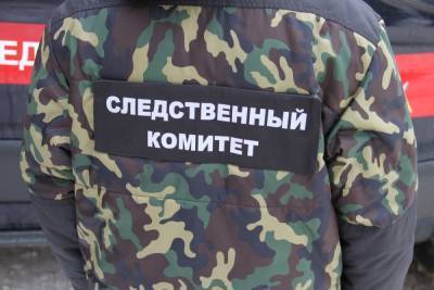 Следователи ищут очевидцев смертельной драки на улице Братиславской в Рязани - rzn.mk.ru - Рязанская обл. - Рязань