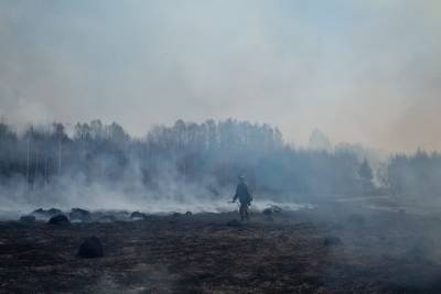 В Тюменской области на праздники ожидаются заморозки и 30-градусная жара - znak.com - Тюмень - Тюменская обл. - Югра - окр. Янао