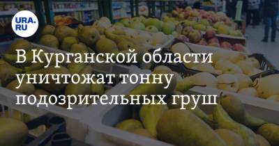 В Курганской области уничтожат тонну подозрительных груш. Фото - ura.news - Челябинская обл. - Курганская обл. - Курган