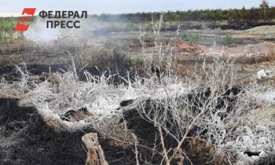 В пригороде Челябинска вышел наружу многолетний эндогенный пожар - fedpress.ru - Челябинск - Копейск