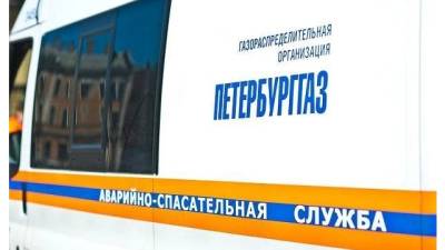 Компания "ПетербургГаз" направила иск на 1,3 млн к ЖКХ Центрального района - delovoe.tv - Ленинградская обл. - Санкт-Петербург