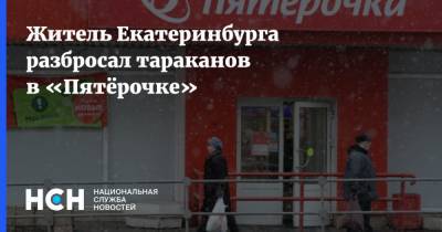 Житель Екатеринбурга разбросал тараканов в «Пятёрочке» - nsn.fm - Екатеринбург - Рязань