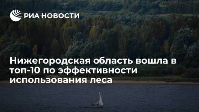 Глеб Никитин - Нижегородская область заняла седьмое место по итогам анализа эффективности использования леса - smartmoney.one - Нижегородская обл.