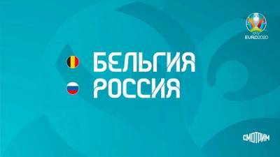 Владимир Стогниенко - "Смотрим" покажет прямой эфир матча Бельгия – Россия - vesti.ru - Санкт-Петербург - Бельгия