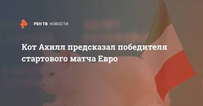 Кот Ахилл предсказал победителя стартового матча Евро - ren.tv - Турция