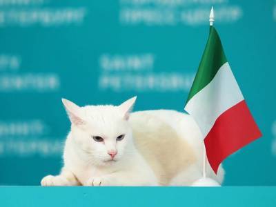 Ахилл предсказал победу сборной Италии в первом матче Евро 2020 - u24.ru - Санкт-Петербург - Бельгия - Турция - Рим