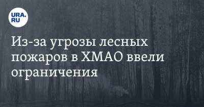 Из-за угрозы лесных пожаров в ХМАО ввели ограничения - ura.news - Ханты-Мансийск - Югра - Югорск
