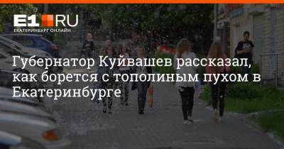 Евгений Куйвашев - Артем Устюжанин - Губернатор Куйвашев рассказал, как борется с тополиным пухом в Екатеринбурге - e1.ru - Екатеринбург - Свердловская обл. - Рыбинск