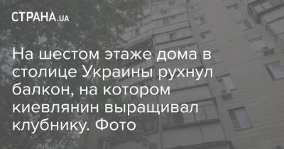 На шестом этаже дома в столице Украины рухнул балкон, на котором киевлянин выращивал клубнику. Фото - strana.ua - Киев