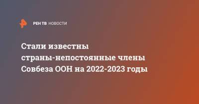Стали известны страны-непостоянные члены Совбеза ООН на 2022-2023 годы - ren.tv - Англия - Эстония - Бразилия - Гана - Эмираты - Тунис - Габон - Нигер - Сент Винсент и Гренадины
