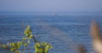 Вода в Балтийском море прогрелась до +18 градусов - klops.ru - Приморье край - Калининград