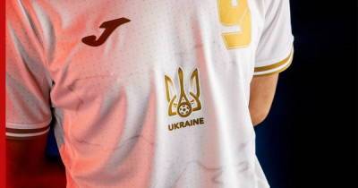 Андрей Павелко - Украинцам разрешили использовать националистические лозунги на футболках сборной - profile.ru - Украина - ДНР - ЛНР