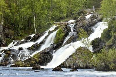 Большая уборка в Кольском Заполярье продолжается - murmansk.mk.ru - Александровск