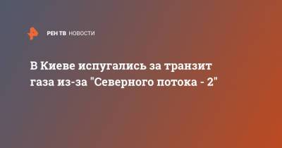 Владимир Путин - Дмитрий Кулеба - В Киеве испугались за транзит газа из-за "Северного потока - 2" - ren.tv - Украина - Киев