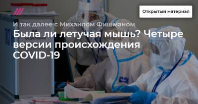 Была ли летучая мышь? Четыре версии происхождения COVID-19 - tvrain.ru
