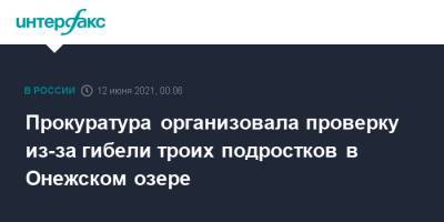 Прокуратура организовала проверку из-за гибели троих подростков в Онежском озере - interfax.ru - Москва - Петрозаводск - республика Карелия