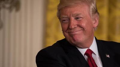Дональд Трамп - Владимир Путин - Джо Байден - Трамп анонсировал «книгу книг» собственного авторства - iz.ru - Хельсинки - Женева