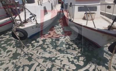 «Морская слизь» добралась до Фамагусты - vkcyprus.com - Турция - Кипр