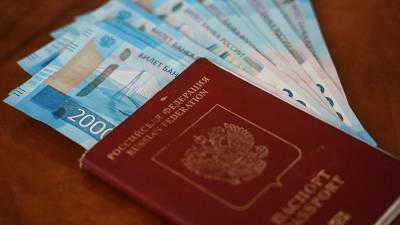 Минтруд перечислил заменяемые денежными выплатами меры соцподдержки - iz.ru