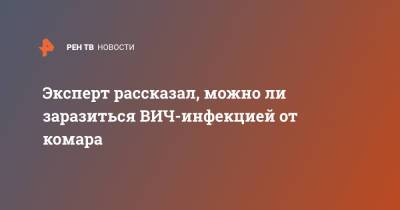 Эксперт рассказал, можно ли заразиться ВИЧ-инфекцией от комара - ren.tv - Московская обл.