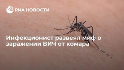 Инфекционист Пронин исключил возможность заражения ВИЧ-инфекцией от комара - ria.ru - Москва - Московская обл.