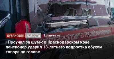 «Проучил за шум»: в Краснодарском крае пенсионер ударил 13-летнего подростка обухом топора по голове - kubnews.ru - Краснодарский край - Краснодар - Апшеронск