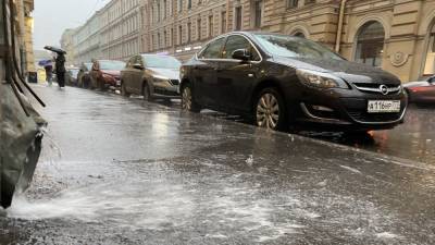 Роман Вильфанд - Петербуржцев в субботу ожидают грозы с переменной облачностью - inforeactor.ru - Санкт-Петербург - ЦФО