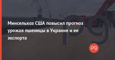 Роман Лещенко - Минсельхоз США повысил прогноз урожая пшеницы в Украине и ее экспорта - thepage.ua