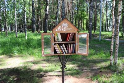 В парках Сыктывкара появились новые книжные домики - bnkomi.ru - респ. Коми - Сыктывкар - День