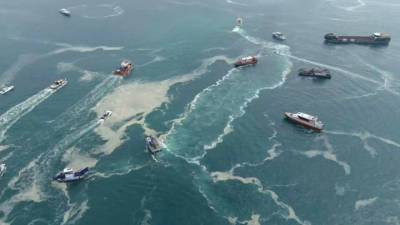 Погода 24. Тропические ливни, морская слизь и воскрешение коловратки - vesti.ru - Крым - Сочи - Турция
