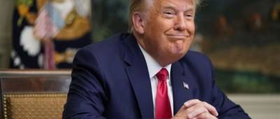 Дональд Трамп - «Пишу как сумасшедший»: Трамп объявил, что работает над «книгой всех книг» - w-n.com.ua