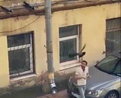 Едва не заклевали: Стая агрессивных ворон напала на ростовчанина - privet-rostov.ru - Ростов-На-Дону