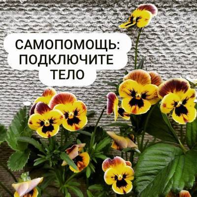 Техники самопомощи: возвращения в реальность и подключение тела - skuke.net